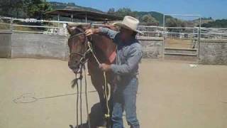 Two different way of giving to the bit,David Lee Archer
