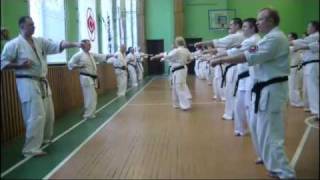 Кекусинкай каратэ. Зимний лагерь 2012. Киров (1)