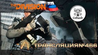 The Division В темную зону и последний рубеж в золотом сете