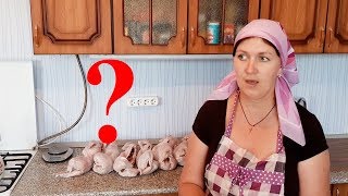 У МЕНЯ ШОК, КАК ИХ МНОГО!! КОШКИ НА УЖИН?!! А ВЫ, ЧТО ПОДУМАЛИ?