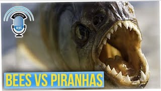 Man Gets Eaten by Piranhas After Running from Bees (ft. David So)