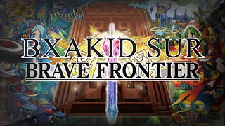 Pourquoi j'ai arrêté Brave Frontier ?