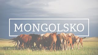 Mongolsko - Ochutnávka z koňského sedla