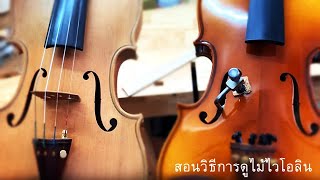 สอนวิธีการดูไม้ไวโอลินราคาถูก และไม้ไวโอลินราคาแพง