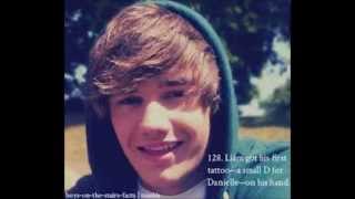 liam payne facts