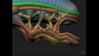 Alien ZSketch - Head [Zbrush Timelapse]