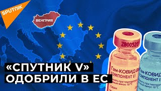В Венгрию поставят 2 миллиона доз вакцины Спутник V