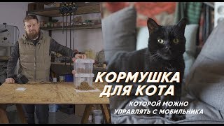 Делаем кормушку для кота, которой можно управлять с мобильника
