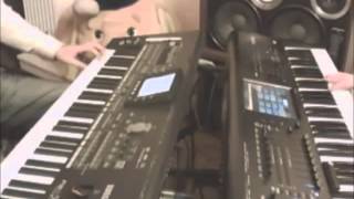 Korg Pa3x NEW Solo Sounds and Styles (Rhythms) 2015 ARMENIAN Persian Arabic