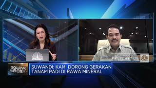 Kementan Genjot Produksi Beras Dari Daerah Rawa, Pakai Cara Apa?