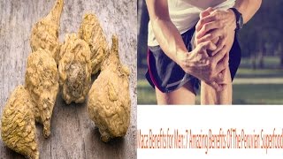 Maca Benefits for Men 7 Amazing Benefits Of The Peruvian Superfood