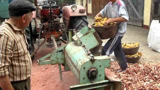 Universal UTB 445 tractor (7)