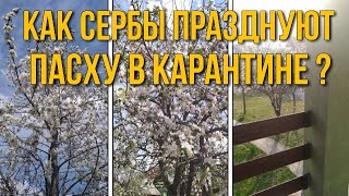 Новости Сербии: Пасха и жизнь русских в Сербии. Сербия для россиян. 2020 Сербия.