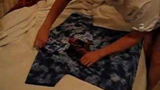 "Japanese" way to fold a t shirt EXPLAINED IN ENGLISH!!!