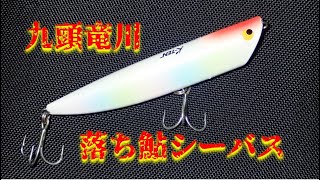 九頭竜川 落ち鮎シーバス