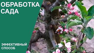 ОБРАБОТКА САДА ВЕСНОЙ. Как и когда эффективно избавиться от болезней и вредителей?