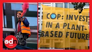 Vegan Protesters DANGLE from Government Building