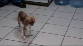 Лечение дистальных переломов предплечья