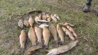 секреты рыбалки ночная ловля на донную снасть РСН _ fishing night fishing on the bottom gear