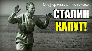 «Сталин— КАПУТ! Плен! Плен!»- кричал дезертир немцам, но немного перепутал... Рассказ офицера