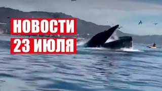 Кит ПРОГЛОТИЛ туристок в Калифорнии! / Польша останется БЕЗ УГЛЯ? / Новости 23 июля