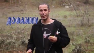 Как себя мотивировать? Что от вас скрывают психологи Наркотики для мозга