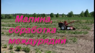 Малина обработка междурядий