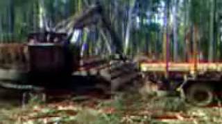 камаз лесовоз сортиментовоз грузит лесом мультик timber truck logging truck