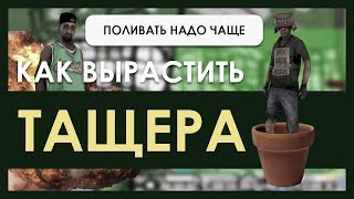 Как тащер зарабатывает на пончики на EvolveRP