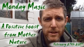 Monday Magic - February 27th - Pruning Cornus (Dogwood)