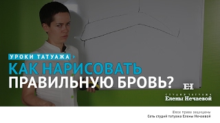 Эскиз бровей: рисуем брови правильно. Теория. #татуаж #татуажбровей