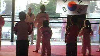 taekwondo punze 1
