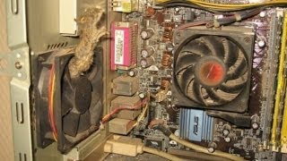 A Importância de limpar seu pc, e dicas de como limpar