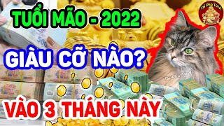Số Trời Đã Định Tuổi Mão Muốn NGHÈO Cũng Khó, 3 Tháng Này Tiền Bạc Tự Kéo Đến CỰC GIÀU