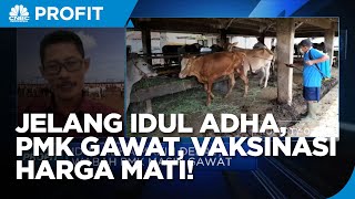 Wabah PMK Makin Gawat, Peternak: Vaksinasi Harga Mati!