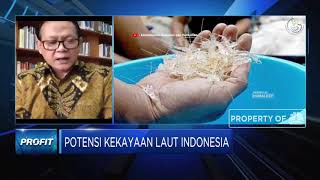 Rokhmin Dahuri: Pencabutan Larangan Ekspor Benih Lobster Sudah Tepat