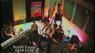 向井秀徳 ×ダージリン＝「Water　Front」 （ZAZEN　BOYS）／共鳴野郎