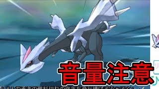 生放送中に色違いのキュレム捕まえました　【ポケモンusum】