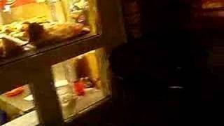 rats in fastfood