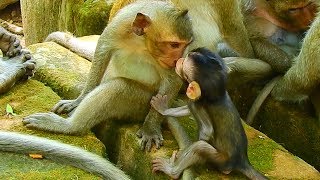 Daniela give very sweet kiss to brother Timo / Monkey Post