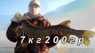 За щукой. Сорокошичи. Монстр на троллинг.
