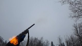 Спортинг. Сайга-340 против МР-155 и ИЖ-27