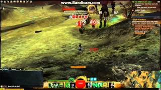 GW2 - Nudist Asura & the Giant of Orr