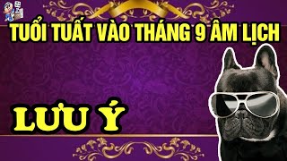 TỬ VI THÁNG 9 ÂM LỊCH, TUỔI TUẤT ĐƯỢC BỀ TRÊN NHẮC MỆNH, THOÁT KHỎI KHỔ NẠN, NẾU LƯU Ý ĐIỀU NÀY