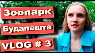 Зоопарк Будапешта! VLOG #3 Венгрия с ребенком/На нас бежал носорог