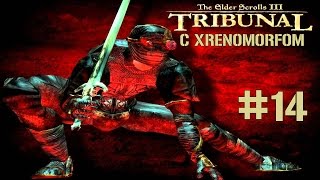 TES III: Tribunal #14 | Меч Неревара