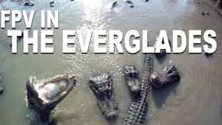 Beautiful HD FPV - The Everglades - RCExplorer.se