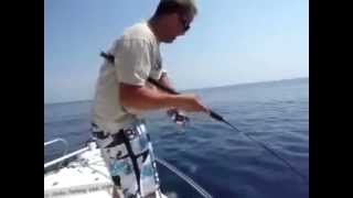 pesca del bonito / delta fishing club / dia de pesca