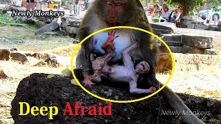 P3 (4th Days Born) Baby Vanlentin cry seizures cos mom did wrong | Queen awake her baby Valentin