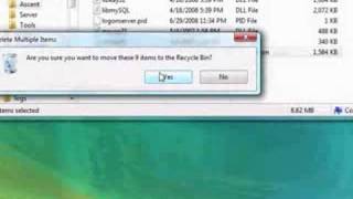 How to make a 2.4.3 Private Server (EASIER!)+Registration site and Vendors(READ Description)